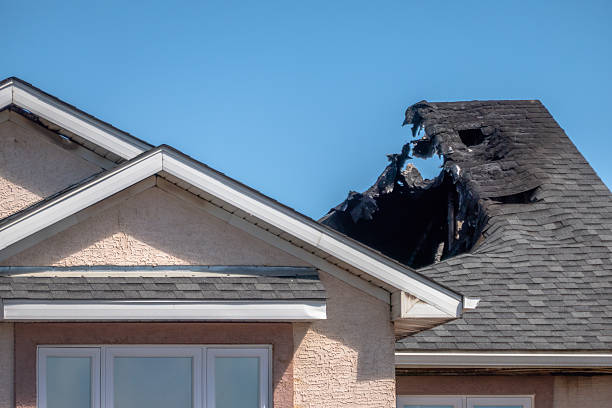 Top rated local Odor Removal specialists in Norwood, PA